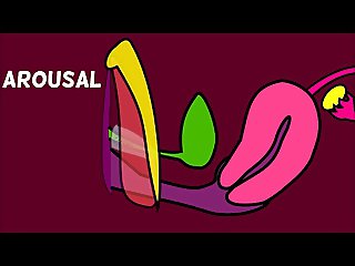 How The Vagina Works