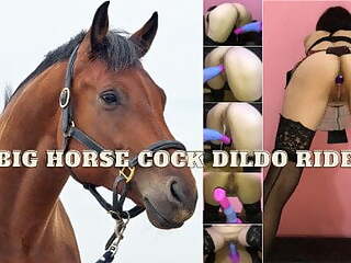 Amateur wife takes big horse cock dildo