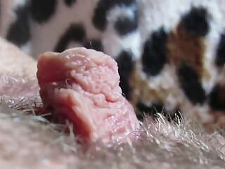 extreme close up clitoris