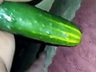 18 years old masturbating with cucumber 