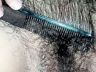 Combing My Hairy Pussy 