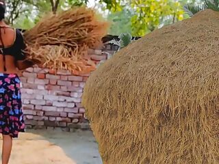 Farmers Hot Wife Outdoor Doggystyle Hardcore Indian Sex Clear Hindi Audio 
