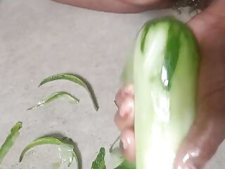A Huge Cucumber in My Pussy. Fucking With Cucumber.