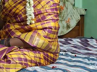 Tamil saree housewife sex with ex boy friend part3