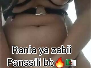 Poilu Chatte Algerianne Thokha Niaaaka Fore