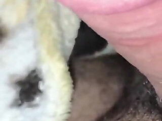 Arab Real First Time Anal Amateur Homemade Couple Fuck My Wife Hard