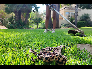 Solo Video of the Month