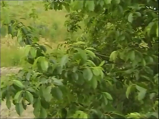 Good outdoor fuck in the country