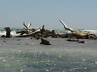 Doctor Max To the Caribbean: a story of white sluts and black cocks