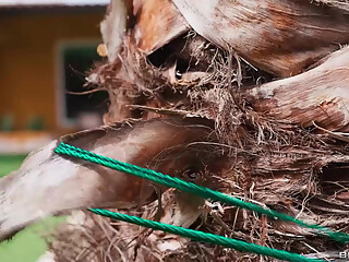 Wet And Sneaky Sapphire Astrea Brazzers